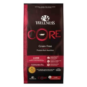 best dog food for dacshunds