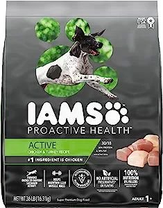 Is IAMS a Good Dog Food?