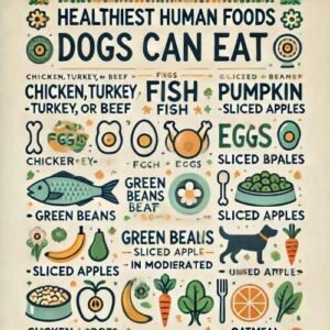 |Healthiest Human Foods Dog can eat.