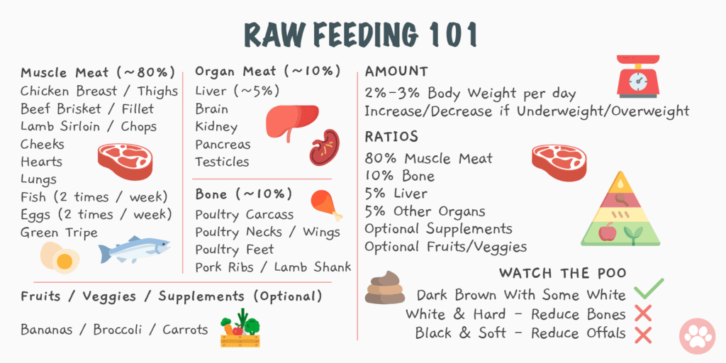 Raw Food For Dogs 