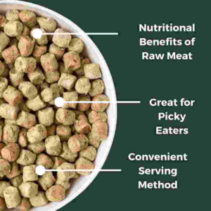 Top Guide to Freeze Dried Raw Dog Food