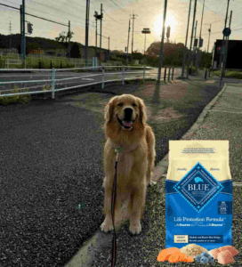 Blue Buffalo Good Dog Food