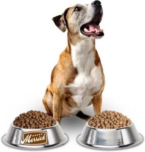 Is Merrick Dog Food Good for Your Dog