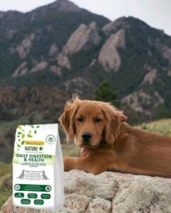 Nature Dog Food: The Best Choice for a Healthy Dog