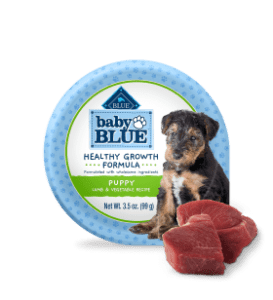 babyblue_dog_wet_cup_lamb