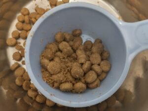 best-dog-food-for-dachshund