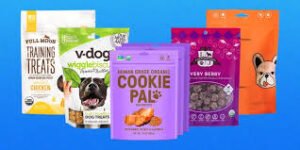 The Best Guide to Organic Dog Food?