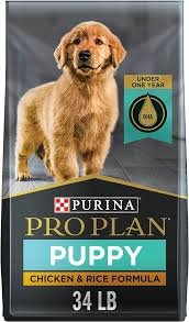 Best Dog Food for Golden Retriever Puppies