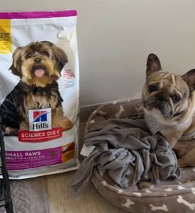 bes dry dog food for small breeds