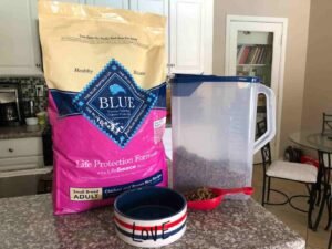 bes dry dog food for small breeds