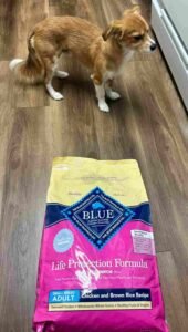 best dog food for small breeds