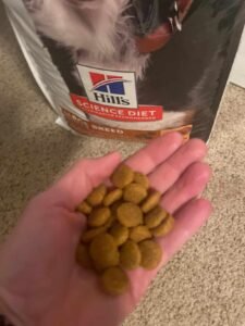 best-dog-food-for-giant-breed