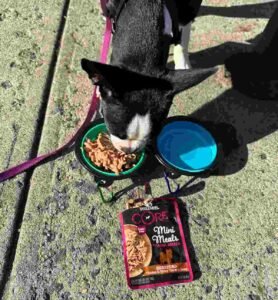 best wet dog food for small breeds