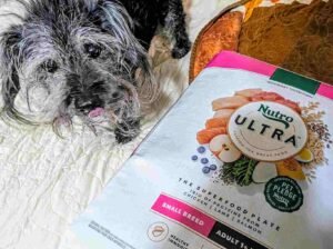 best dog food for small breeds